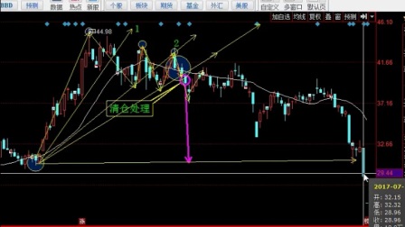 股票技術分析，心靈與自然的探索之旅