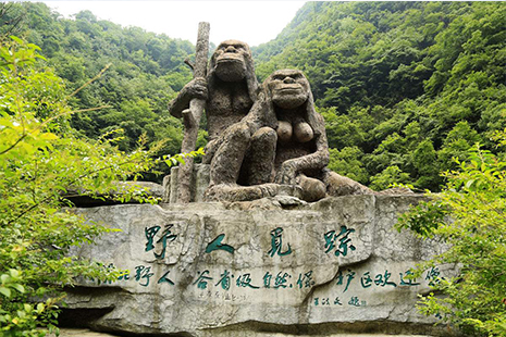 神農(nóng)架景區(qū)門票價(jià)格詳解，全方位了解門票費(fèi)用