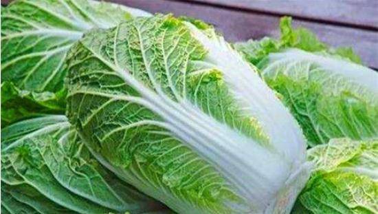 優(yōu)質(zhì)大白菜購買指南，價(jià)格查詢與選購要點(diǎn)詳解