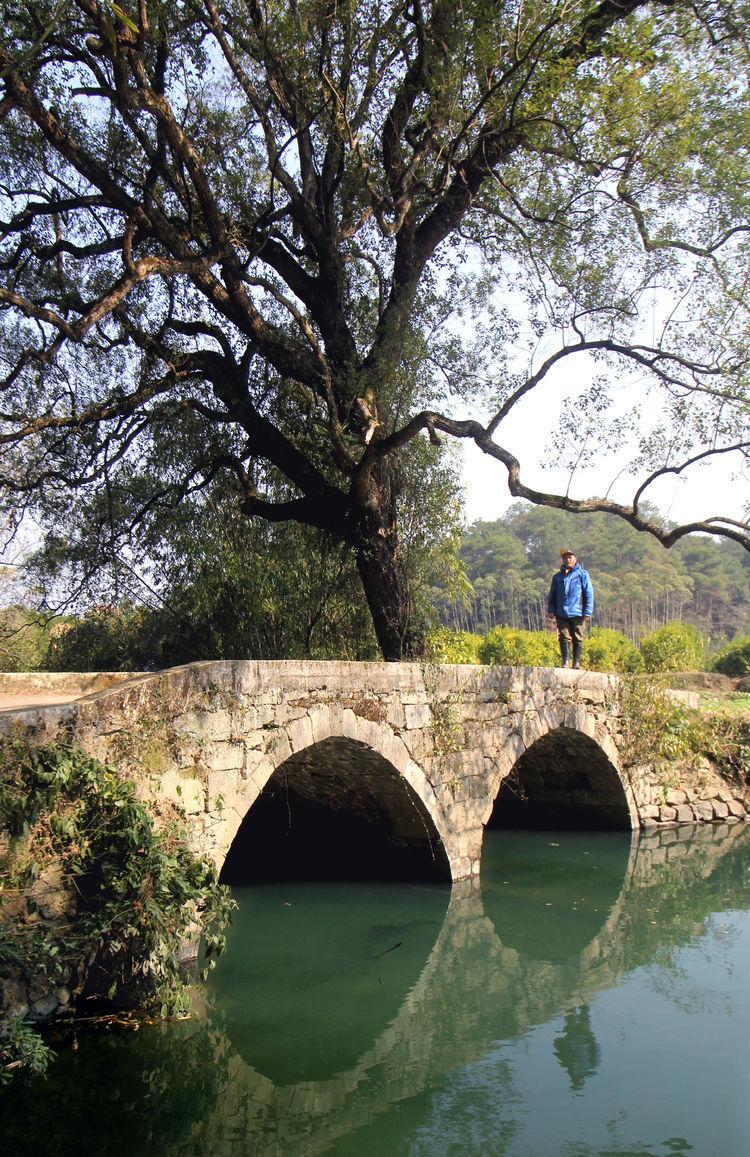 桂林兒童落水事件最新進(jìn)展與應(yīng)對步驟指南揭秘