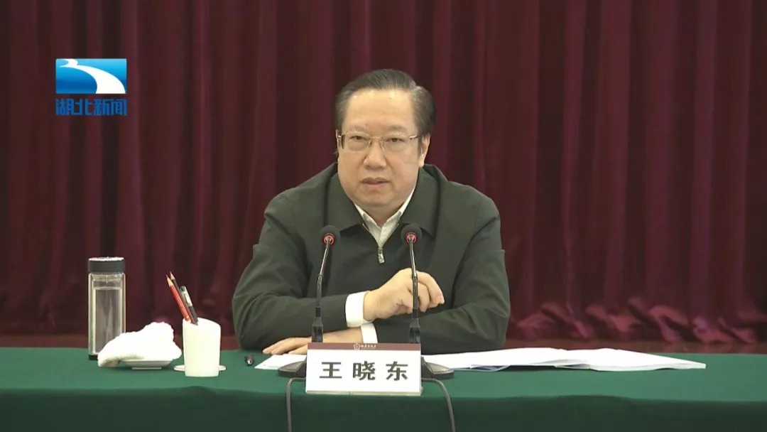 都市放牛演員王曉東，演技與多維影響力的深度解讀