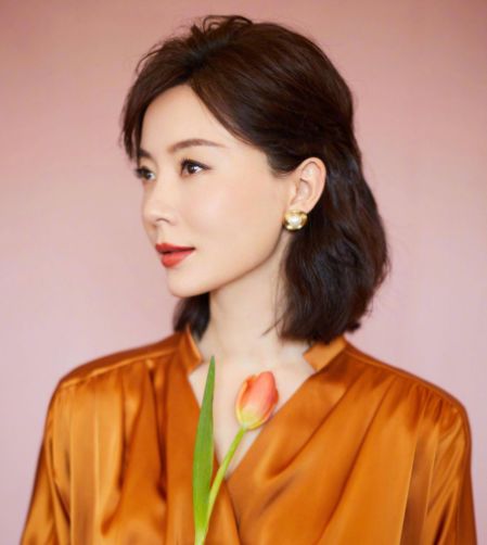 陳數(shù)老公揭秘，深度解析與觀點(diǎn)闡述