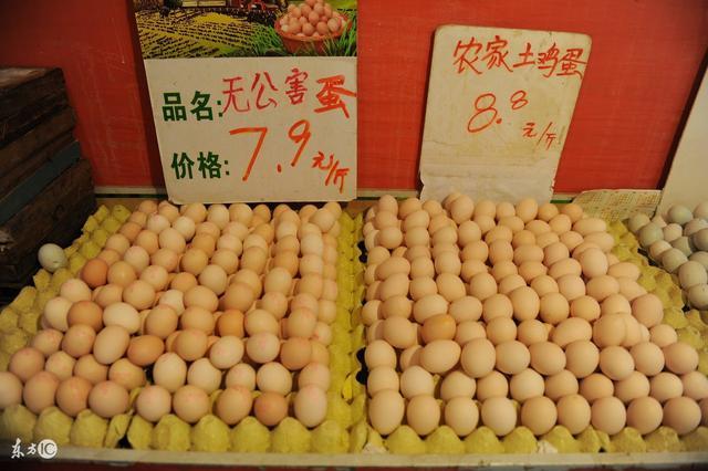 當(dāng)前雞蛋價格行情分析與展望