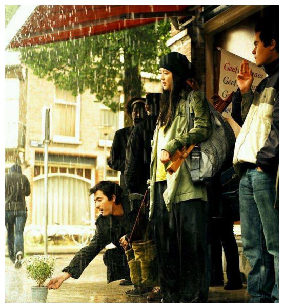 韓國電影雛菊，與自然美景的對話之旅，探尋內(nèi)心平和與喜悅的旅程