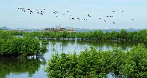 2025年7月臺風(fēng)的最新動態(tài)與小巷特色小店的驚喜探秘