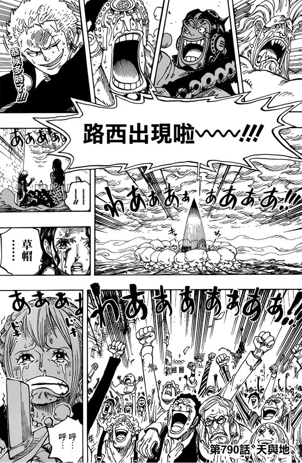 海賊王最新解析步驟指南詳解