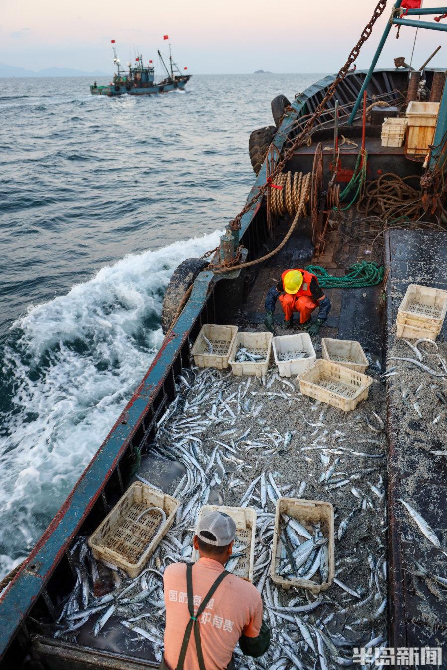 關于大型捕魚船價格的探討，以50米捕魚船為例的價格解析