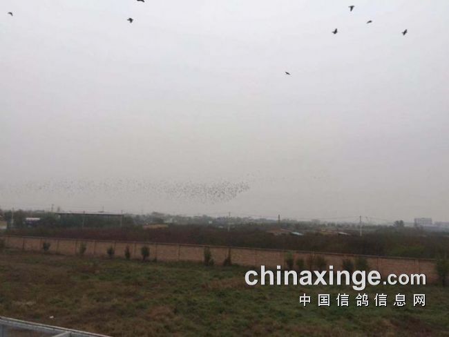 賽威公棚科技革新突破，未來(lái)高科技產(chǎn)品重塑體驗(yàn)新紀(jì)元