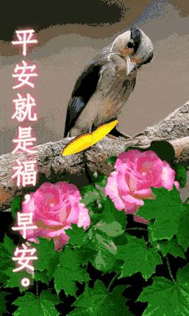 科技領(lǐng)域突破性進(jìn)展的最新動態(tài)