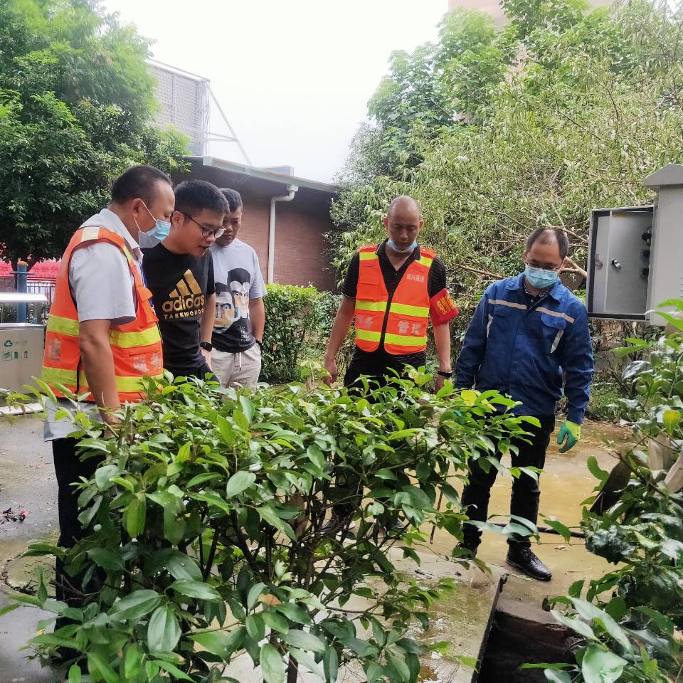 成都環(huán)保檢查動(dòng)態(tài)更新，持續(xù)環(huán)境治理行動(dòng)進(jìn)展報(bào)告