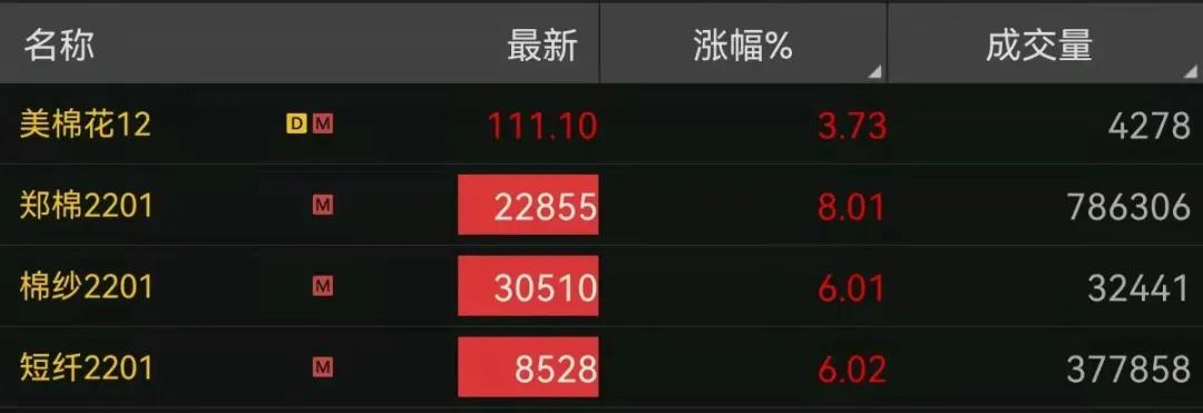 今日棉花價格行情更新報告