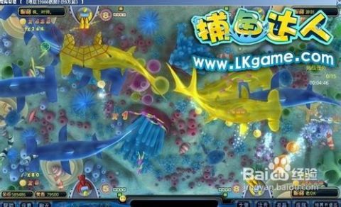 掌握最新捕魚技巧，輕松成為捕魚達(dá)人！