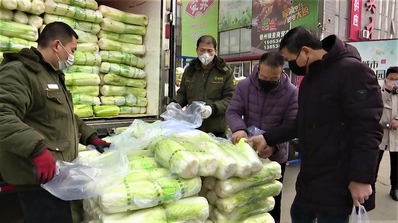 德州市場最新菜價(jià)更新，全面指南