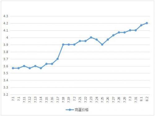 滕州雞蛋價(jià)格實(shí)時(shí)行情播報(bào)