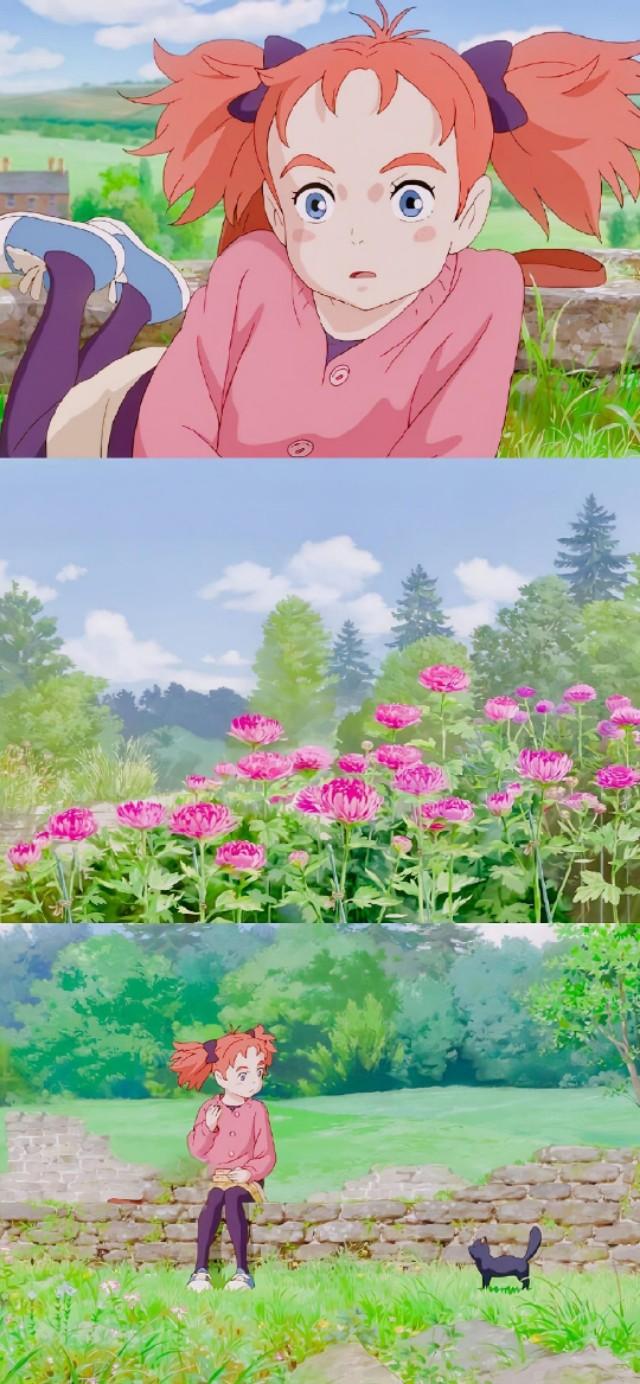 瑪麗動漫，夢幻之旅，開啟二次元世界的大門?