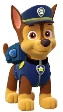 最新阿奇資訊，學(xué)習(xí)變革，擁抱自信成就的力量