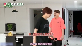 金俊昊，音樂(lè)巨星的崛起與深遠(yuǎn)影響