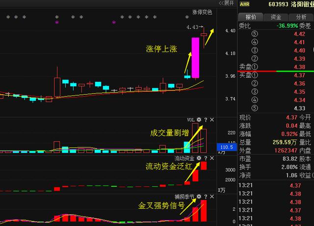 洛陽鉬業(yè)重組最新動態(tài)揭秘，步驟指南與最新進展