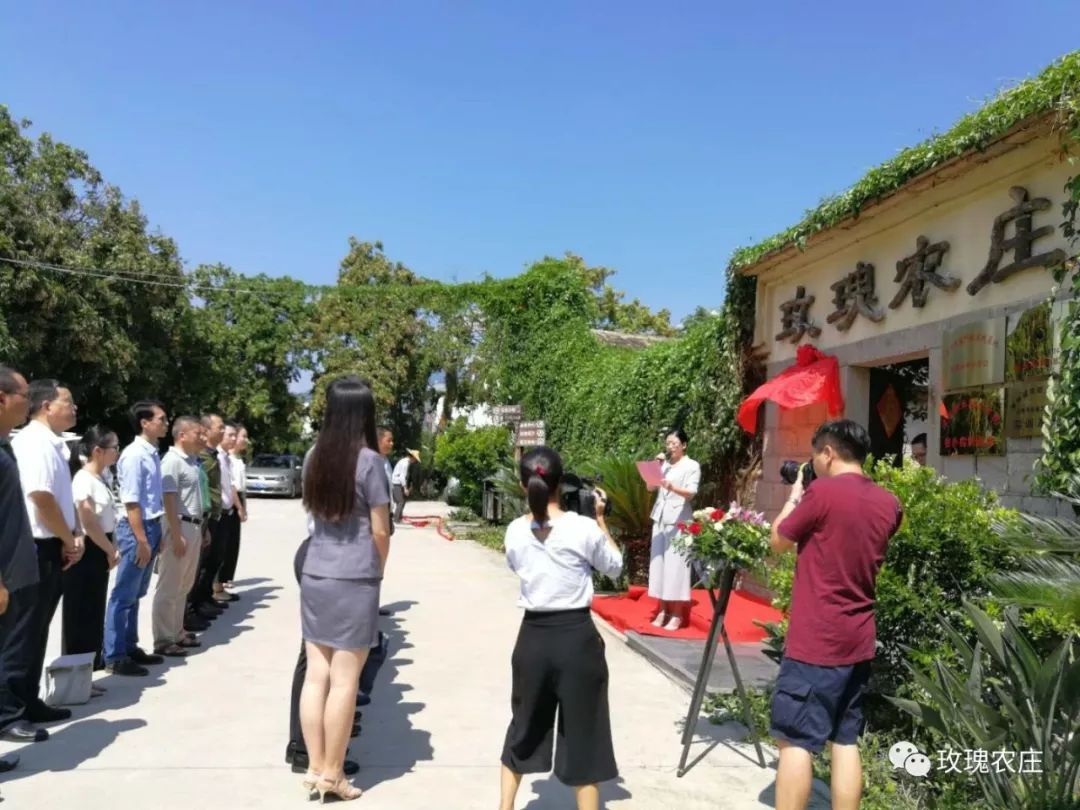 長(zhǎng)泰人才網(wǎng)古農(nóng)農(nóng)場(chǎng)最新職位招聘大揭秘，小巷深處的特色小店等你來(lái)探索！