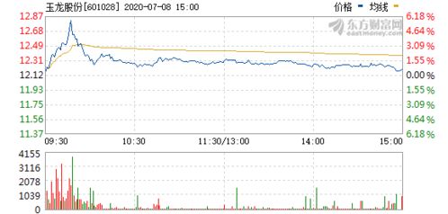 玉龍股份股票行情最新動(dòng)態(tài)，股市熱議焦點(diǎn)??