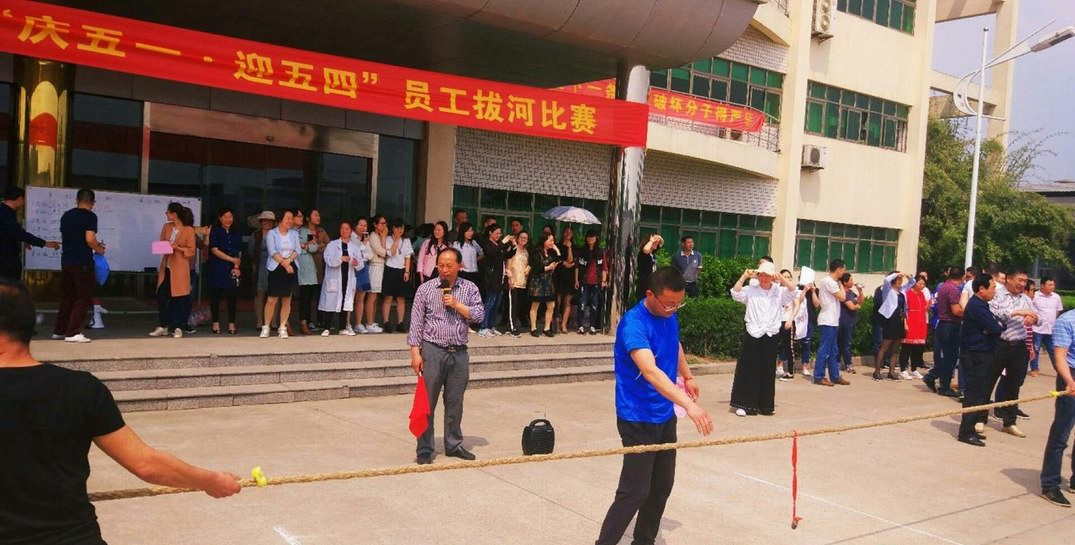 拔河比賽，團(tuán)結(jié)的力量展現(xiàn)與300字作文描述