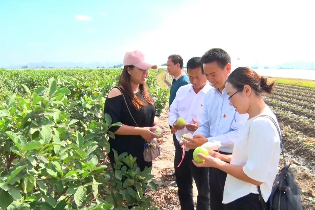 58同城海豐最新職位招聘，與自然美景同行，尋找內(nèi)心的平和寧靜之旅