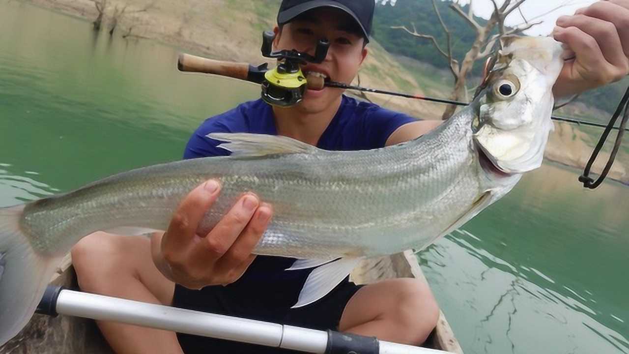 最新翹嘴魚釣魚直播，探尋小巷釣魚天堂，直播實(shí)戰(zhàn)分享！