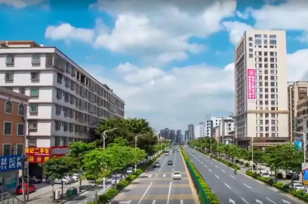 揭西生豬今日價格,揭西生豬今日價格全面解析，新鮮資訊一探究竟！????