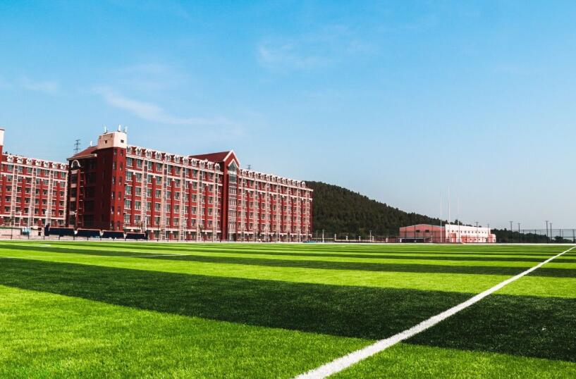 山東大學動漫設計專業(yè)，自然美景中的探索之旅