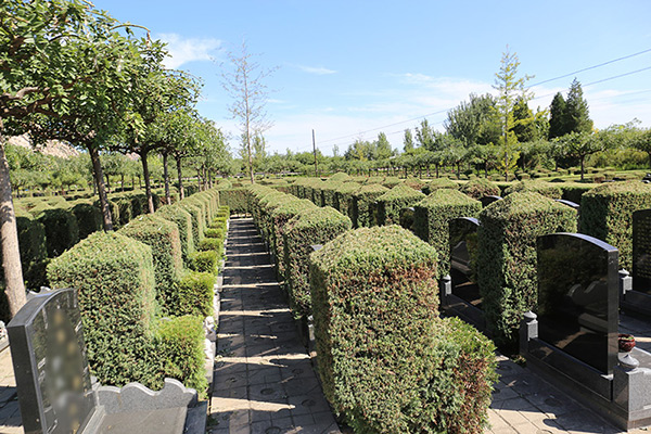 北京墓地價格指南，如何選購與購買墓地？