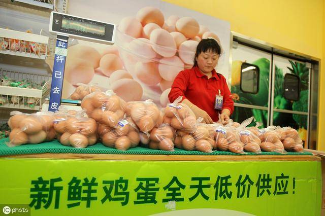 牧雞蛋價格行情深度解析
