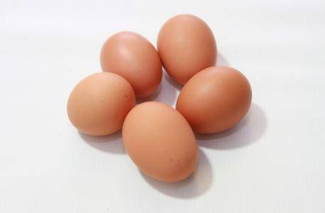 河南周口雞蛋價(jià)格行情詳解與分析