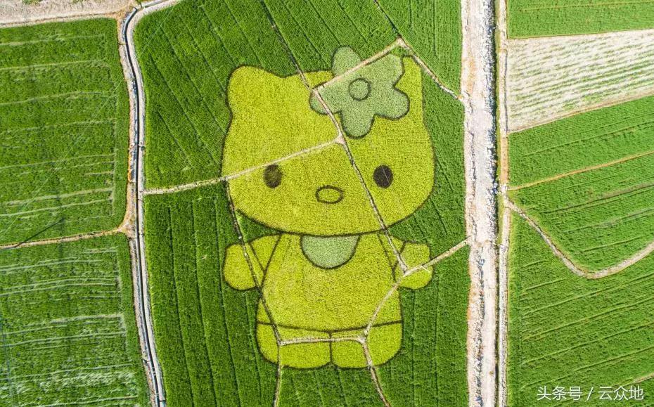 小巷深處的寶藏小店，最新賺錢創(chuàng)意大揭秘