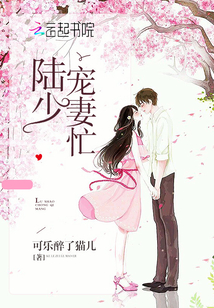 寵妻夜夜新章節(jié)深度解析與觀點(diǎn)闡述