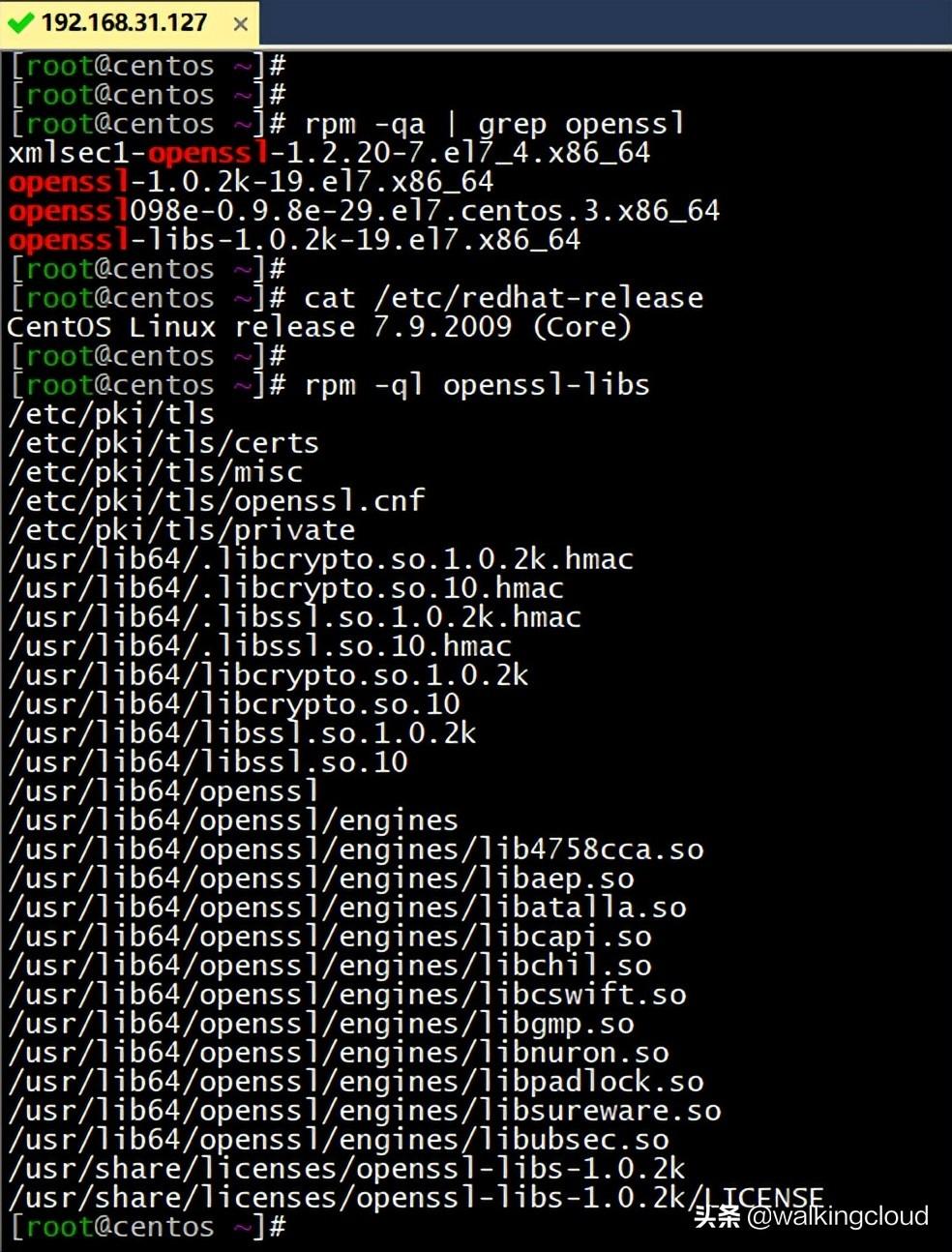 CentOS最新版，引領(lǐng)時代技術(shù)革新