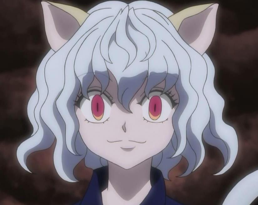 貓人動(dòng)漫，探索二次元世界的獨(dú)特魅力之旅