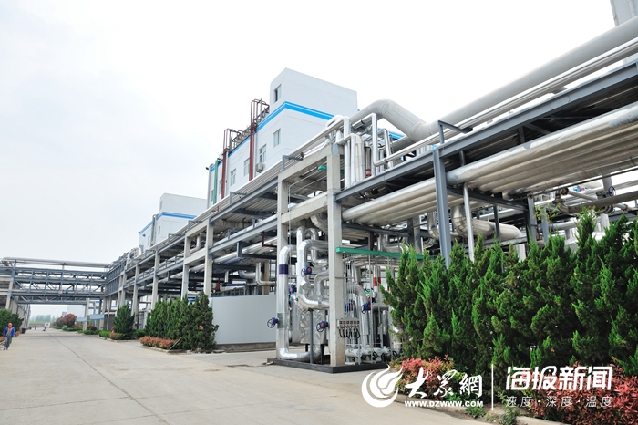 定陶賽托生物上市，變化中的學習成就自信與輝煌