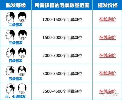 種頭發(fā)的價(jià)格之旅，探尋價(jià)格與自然的浪漫遨游