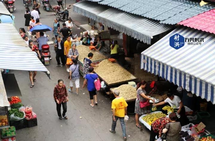 射洪未來(lái)房?jī)r(jià)預(yù)測(cè)與小巷深處的居住新篇章（2025年最新）