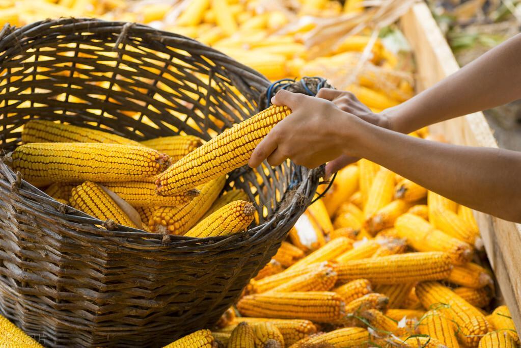 三月行情，時(shí)尚與投資完美交融的時(shí)刻