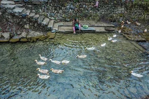 丁志華，閃耀光芒，引領(lǐng)時(shí)代新潮流