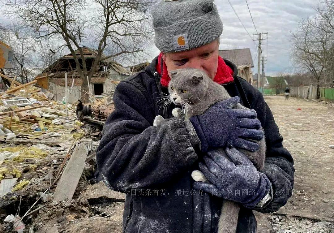 揭秘最新套路招數(shù)，深度探討與實(shí)戰(zhàn)解析