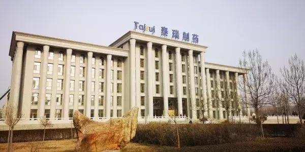 深度剖析，最新寧東雞窩的背景、事件與地位