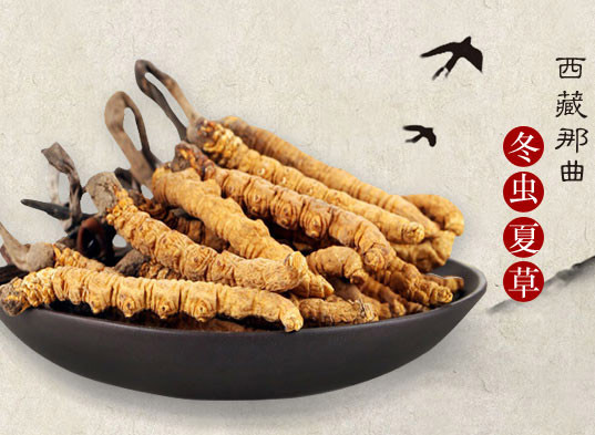 那曲蟲(chóng)草最新價(jià)格動(dòng)態(tài)，學(xué)習(xí)成長(zhǎng)與自信成就感的源泉