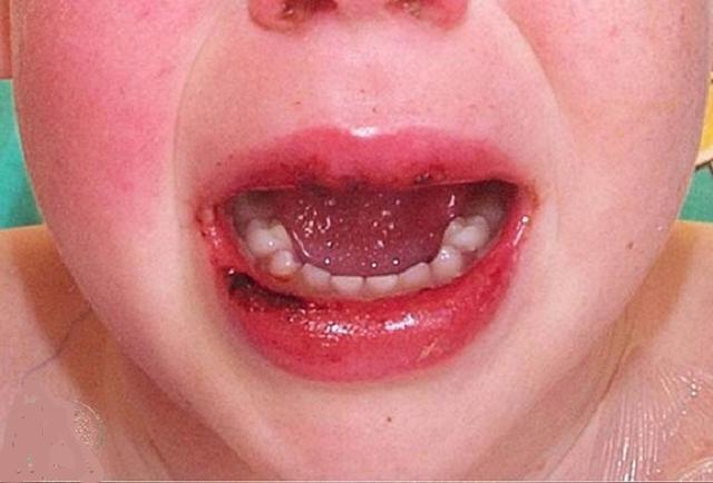 冠肺最新通報，自然美景探索之旅的心靈寧靜之旅