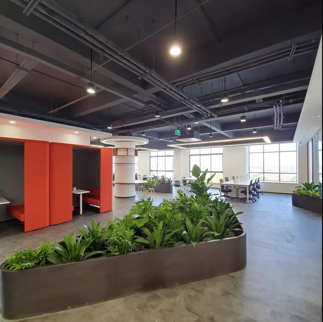 最新申報導(dǎo)師制度，利弊分析與個人觀點探討