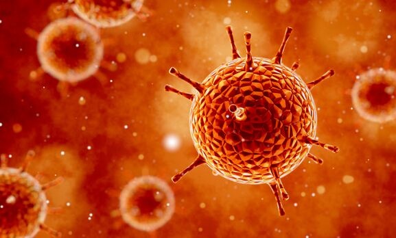 揭秘最新版病毒，背景、重大事件及其影響