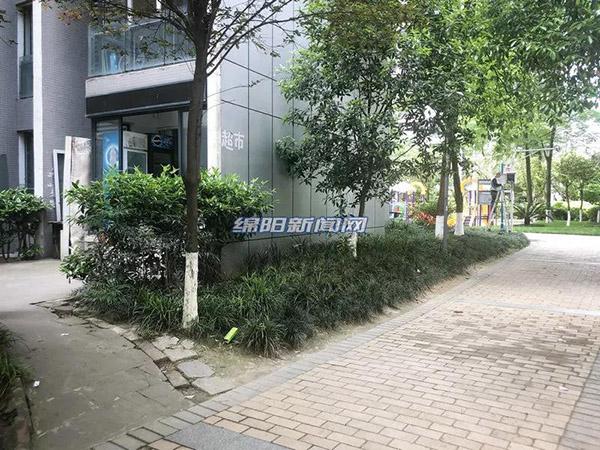 探索新時(shí)代的變遷與機(jī)遇，最新進(jìn)出肖動(dòng)態(tài)報(bào)道