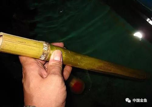 養(yǎng)魚(yú)最新工具概覽，創(chuàng)新產(chǎn)品助力養(yǎng)魚(yú)事業(yè)?