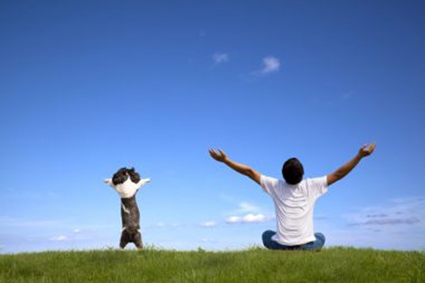 月丘最新視頻，高科技重塑生活，體驗未來科技的魅力